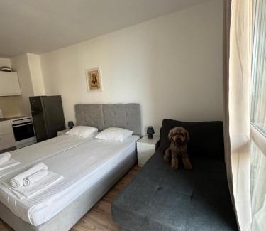 Sarafovo Apartment | Guest Apartments "Ekaterina" with Ocean View & Pet Friendly