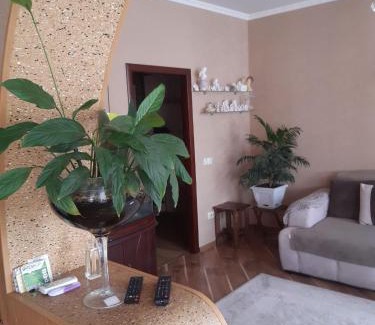 Kamenets-Podol'skiy Apartment | Family-Friendly Апартаменти ''Комфорт'' with Kitchen Amenities