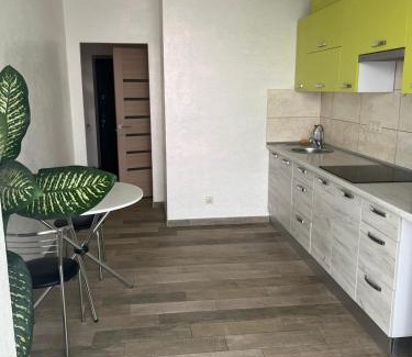 Maliyevtsy Apartment | Апартаменти Люкс 6
