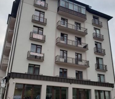 Polyana Apartment | Exceptional Апартаменти Сонячне: Pet-Friendly Comfort Awaits