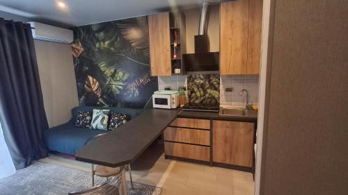 Polyana Apartment | Cozy Apartments in Sunny Zakarpattia with Ocean View