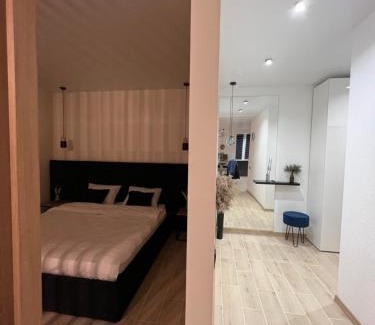 Zalissya Apartment | Prime Apartments in the Heart of Chortkiv - Child Friendly