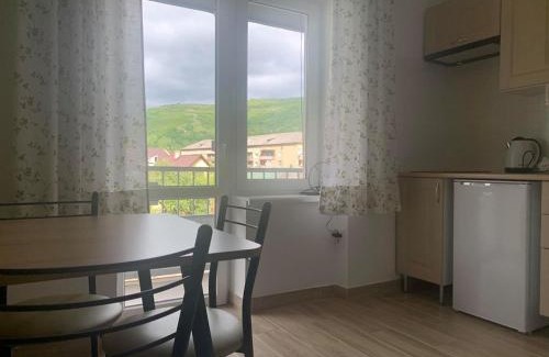 Rakhiv Apartment | Family-Friendly Comfort at Апартаменти Monte - Rated 9.9/10
