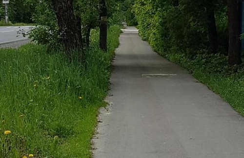 Kurortny District Apartment | Cozy Apartments in Pesochnoe with 8/10 Guest Rating
