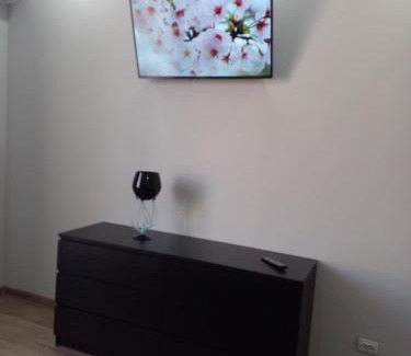Chernovtsy Apartment | Prime City Center Apartments - Pet & Child Friendly Stay