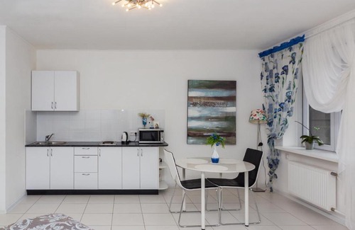 Petrozavodsk Apartment | Elegant Apartments with River and Park Views in City Center
