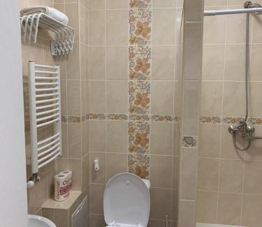 Polyana Apartment | Experience Varosh Apartments in the Heart of the Carpathians
