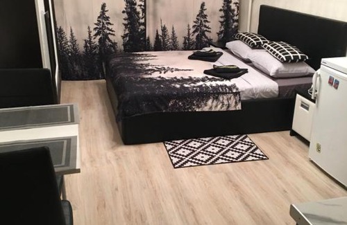 Zvezdnoe Apartment | Pet-Friendly Comfort at Апартаменты "ДоМиНо" - 10/10 Rated