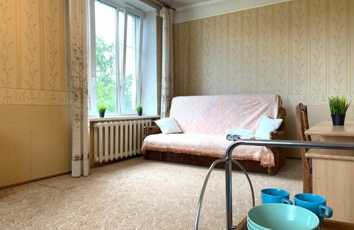 Zvezdnoe Apartment | Pet-Friendly Apartments at Altayskaya 19 for Your Stay