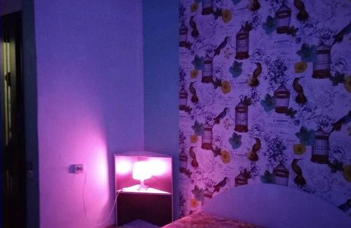 Petrovskoye Apartment | Cozy Apartments on Pavlovskaya: Pet-Friendly Retreat