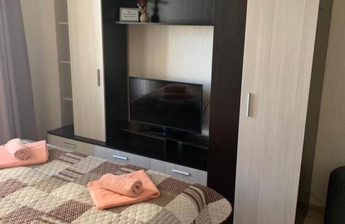 Zvezdnoe Apartment | Pet-Friendly Apartments at Pulkovsky with 9/10 Guest Rating