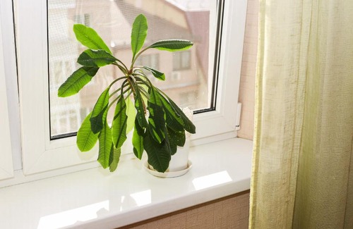 Rostov-on-Don Apartment | Discover Northern Apartments in SJM - Guest Rated 9/10