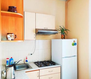 Vinnytsya Apartment | Comfortable Two-Room Apartments in the City Center