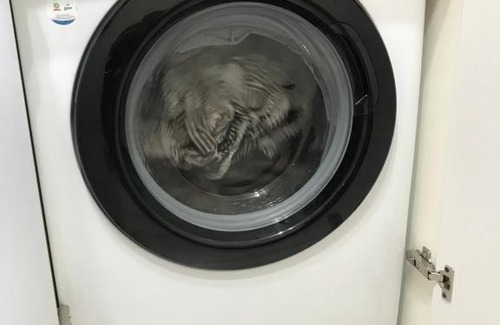 Shakhty Apartment | Pet-Friendly Apartment on Sovietskaya 219 - Rated 10/10