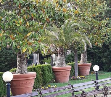 Golden Sands Apartment | Oceanfront Apartment Sofia: Guest Rated 8.9/10
