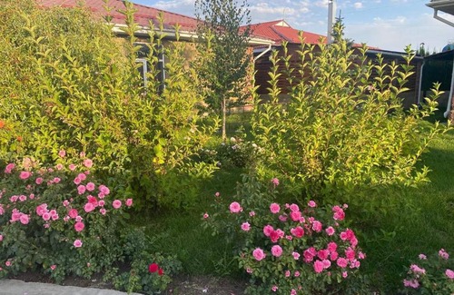 Issyk-Kul Region Apartment | Family-Friendly Retreat at Аппарат: Your Ideal Getaway