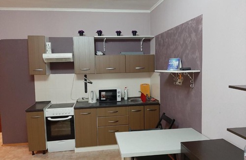 Tsentralnyy okrug Apartment | Top-Rated Аппартаменты Осипенко with Breakfast & Hot Tub