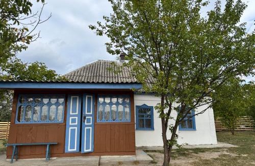 Moshny House | Budget-Friendly Бабусина хатка: 9.8 Guest Rated with Pets Allowed