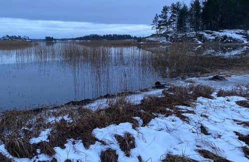 Miynal'Skoe House | Pet-Friendly Getaway at База Отдыха Карелия Ладогорье