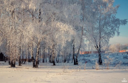Mencherepskoe Resort | Seaside Retreat at База отдыха Чеширы with Private Beach