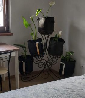 Skhidnytsya Apartment | Idyllic Retreat Near the Forest - Rated 9.2/10