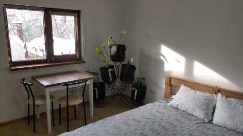 Skhidnytsya Apartment | Idyllic Retreat Near the Forest - Rated 9.2/10