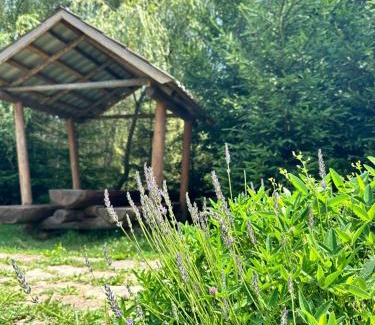 Soymy Hotel | Welcoming Будинок Художника Шипіт - Pet Friendly Retreat
