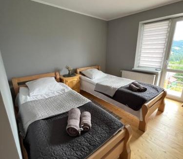 Snidavka Apartment | Guest Rated 10/10 at Буков'ян with Breakfast & Hot Tub