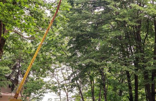 Kamena Resort | Cozy Bungalows Kamena with Breakfast & Kitchen Access
