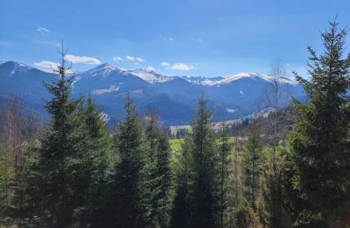 Snidavka House | Discover Велика Дзен Хата: Guest Rated 9.7, Pet Friendly