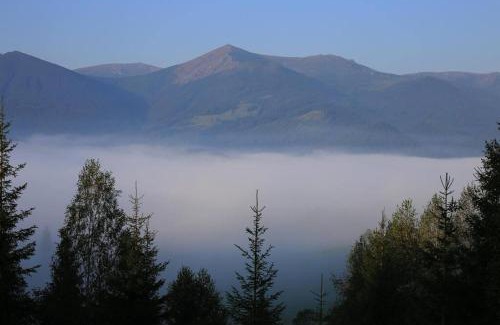 Snidavka House | Discover Велика Дзен Хата: Guest Rated 9.7, Pet Friendly