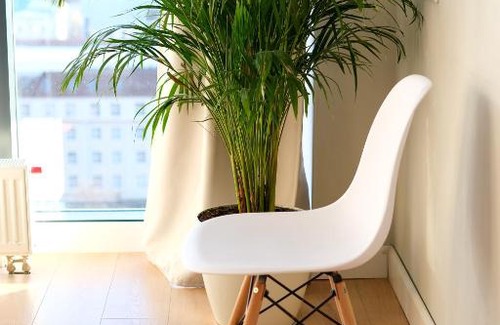 Ufa Apartment | Scenic Apartments at Upper Trade Square: Pet-Friendly Comfort