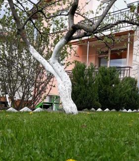 Dospat House | Inviting Stay at Вила Багрянови with Hot Tub & Breakfast