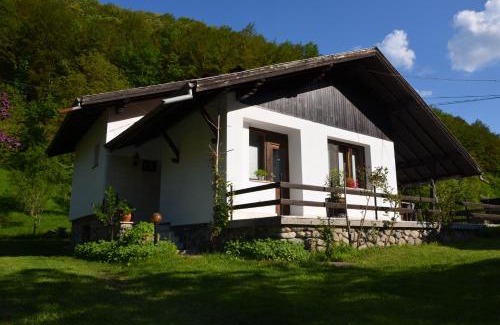 Ribaritsa Villa | Guest Rated 10/10 at Вила Даяна with Pool & Family Fun