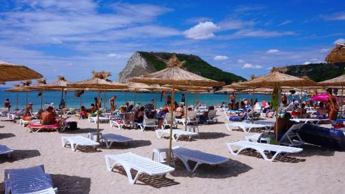 Rusalka Villa | Villa Delfin: Oceanfront Retreat with Pool & Pet Friendly