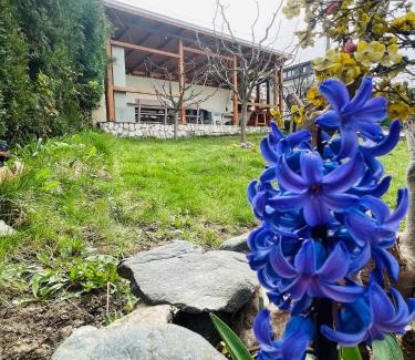 Sapareva Banya Villa | Discover Comfort at Villa Matza - Rated 9.5/10, Pet-Friendly