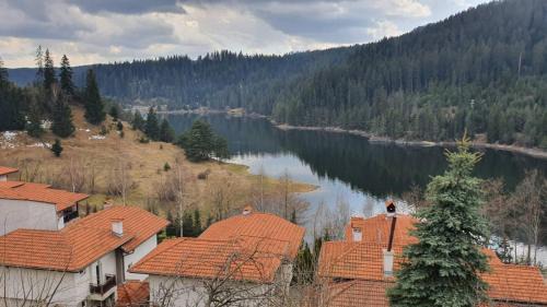 Dospat House | Experience Relaxation at Вила Родопи with Hot Tub & More