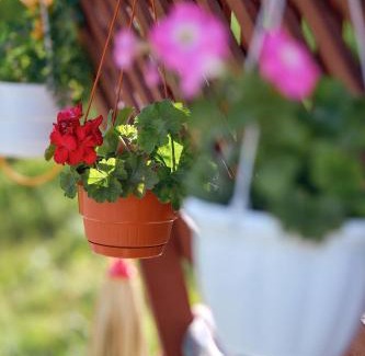 Izki House | Relax in the Carpathians: Pet-Friendly Getaway Awaits