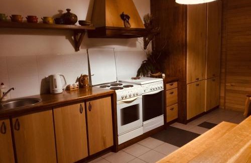 Dilyatyn Apartment | Vізерунок: Pet-Friendly Retreat with Top Guest Ratings