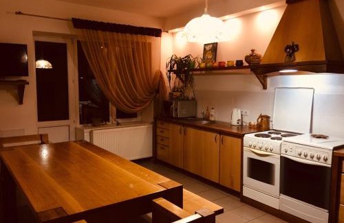 Dilyatyn Apartment | Vізерунок: Pet-Friendly Retreat with Top Guest Ratings