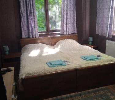 Skhidnytsya Apartment | Cozy Villa Lisova: Pet-Friendly Retreat with Spa Access