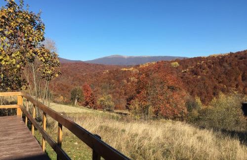 Serednye Other | Glemping Retreat: Guest Rated 9.6 & Pet Friendly Awaits