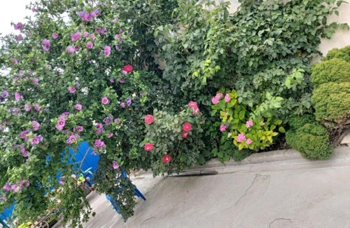 Anapa House | Budget-Friendly Stay at Гостевой дом Анна - Rated 8/10