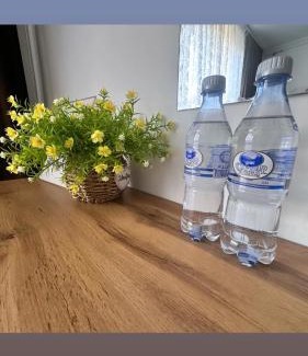 Taldykorgan Apartment | Discover Гостевой дом Анны: Family and Pet Friendly Stay
