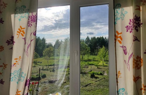 Veleyskaya House | Cozy Guesthouse in Pushkinskie Gory with Hot Tub & Kitchen