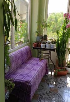 Provadia House | Pet-Friendly Guest House with Hot Tub and Great Reviews