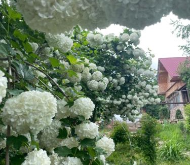 Uzbekistan Resort | Relax at Chimgan Apple Garden: Pool & Oceanfront Views