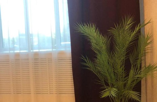 Barabinsk Hotel | Discover Hotel Noy: 9/10 Guest Rated & Pet Friendly
