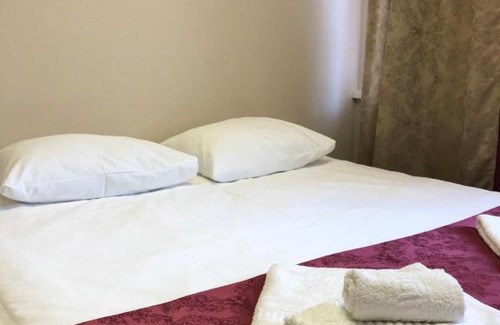 Kirishi Hotel | Pet-Friendly Comfort at Hotel "Спутник" in Your Reach