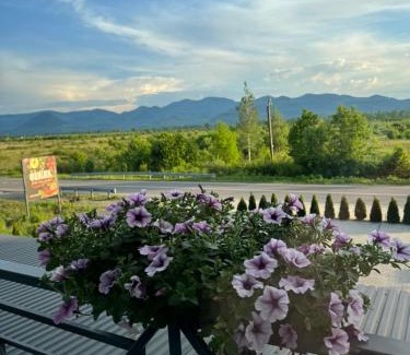 Nyzhnje Selyshche Hotel | Pet-Friendly Family Hotel & Restaurant with Great Amenities